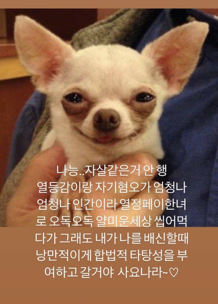 [잡담] 너네 친구도 인스타 비계에 이런글 올려????<<<<<‼️‼️‼️인스타하는 애들아 꼭" 봐줘‼️ | 인스티즈