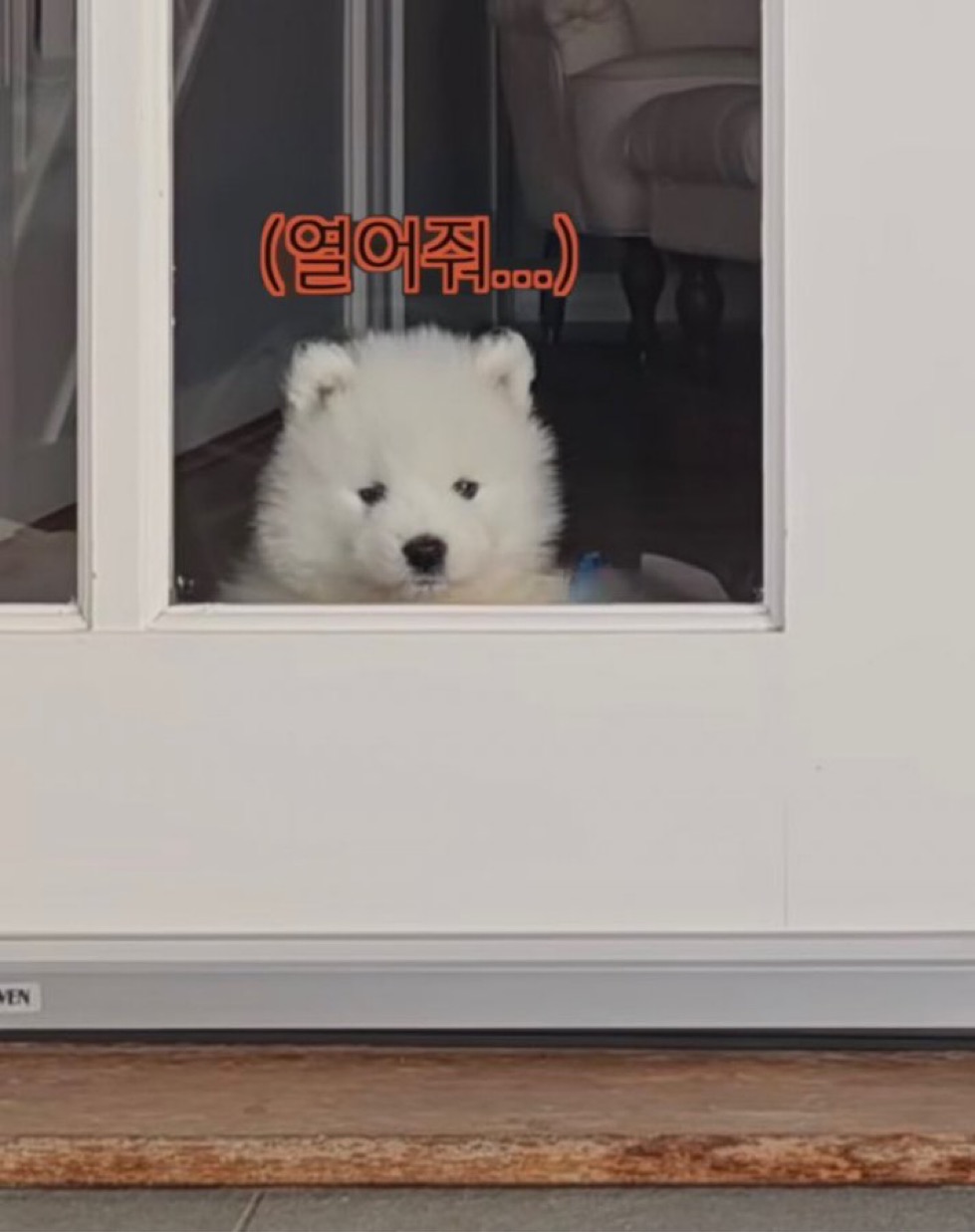 [잡담] 제노는 진짜 신기한 아이다 | 인스티즈
