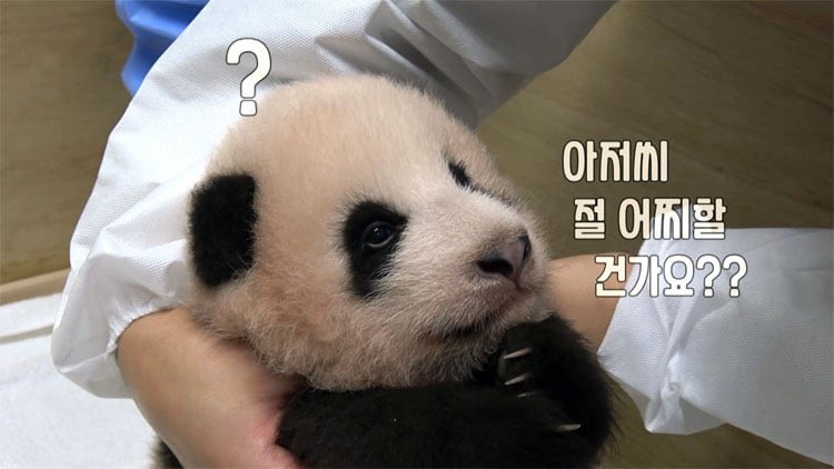 [잡담] 잡아먹으쟈 | 인스티즈