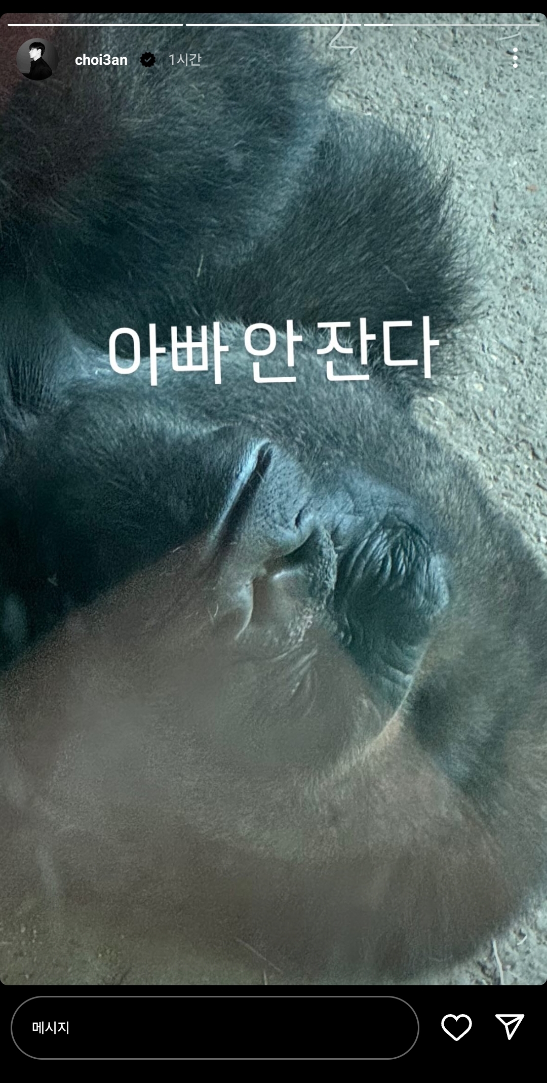 [잡담] 인프피즈 동물원 간 거 귀엽네 | 인스티즈