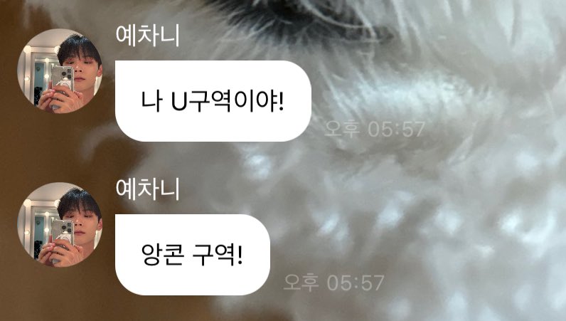 [잡담] 루시 멤버별 콘서트 OO존 스포하는 방법 | 인스티즈