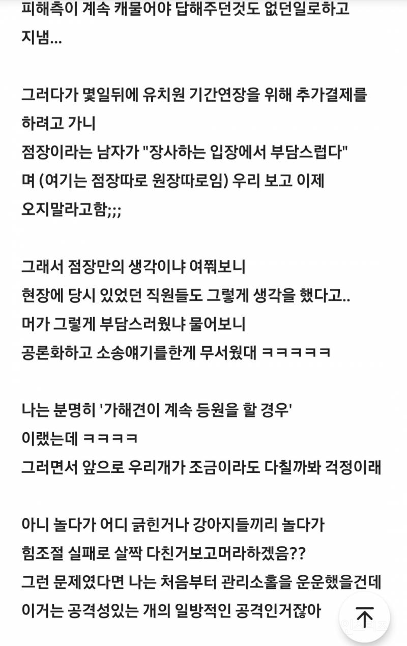 애견유치원 요즘 문제많네 | 인스티즈