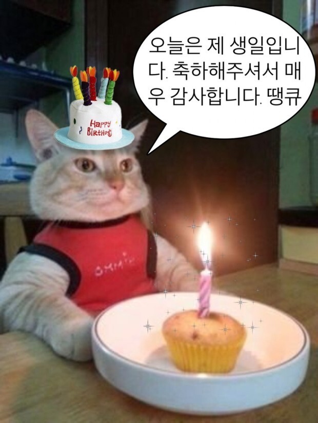 [잡담] ❓❓오늘 무슨 날이게❓❓ | 인스티즈