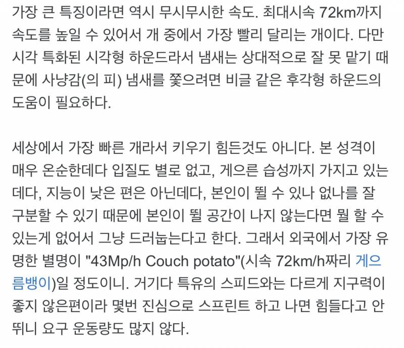 팬들한테 자꾸 반려견 영업하는 남자아이돌 | 인스티즈