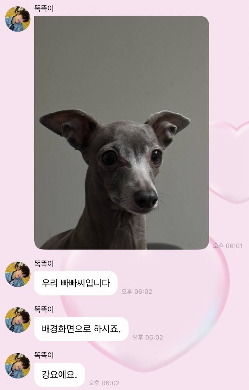 팬들한테 자꾸 반려견 영업하는 남자아이돌 | 인스티즈