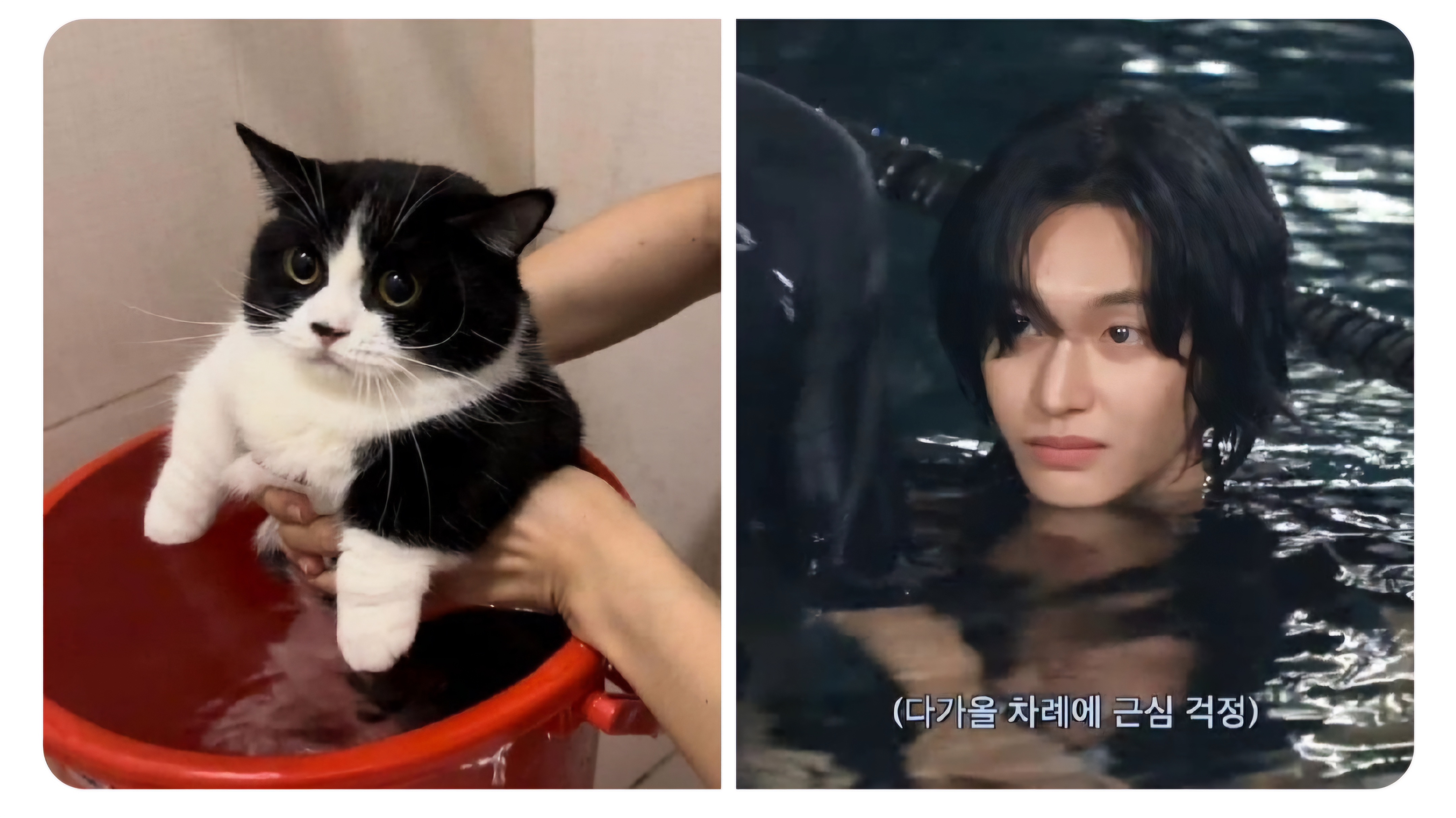 [잡담] 나 진짜 원빈이가 너무 귀여워서 울수도 있어 | 인스티즈