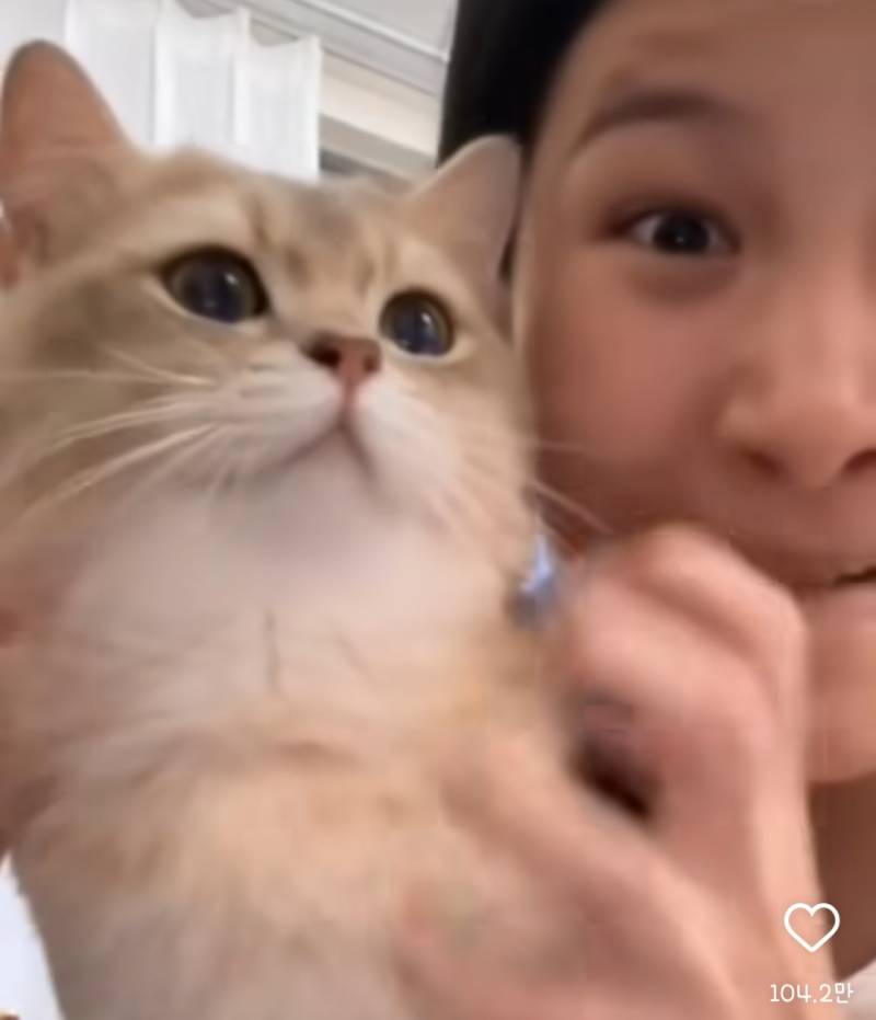 [잡담] 이고앵이는 무슨종이야?? | 인스티즈