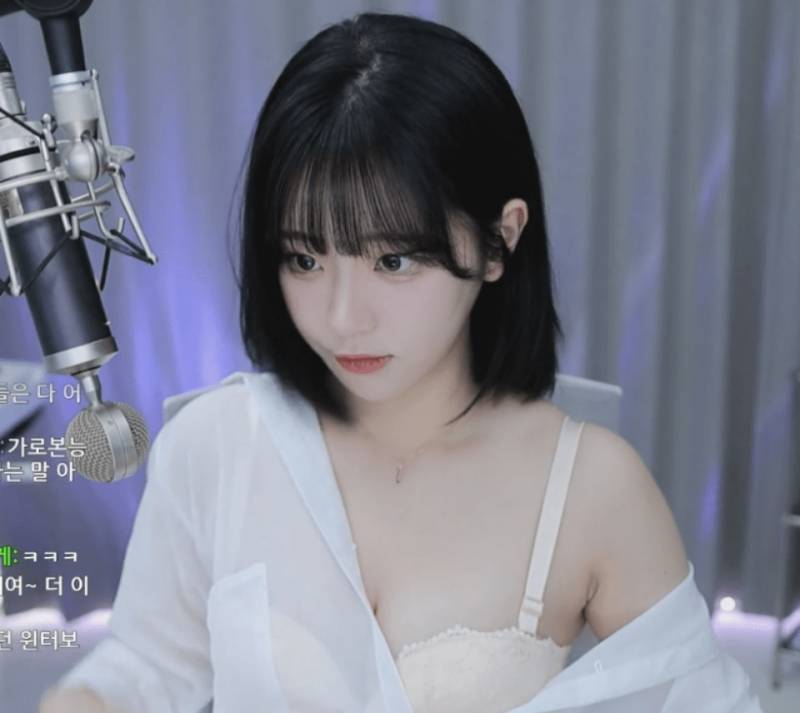 [잡담] 쵸단 벗방bj라는 사람들 다 고소 당했으면 | 인스티즈