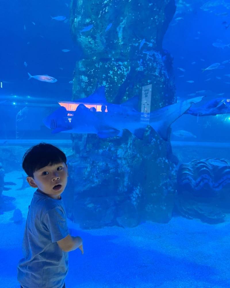 [잡담] 하민이 진짜 눈 땡글해ㅋㅋㅋㅋㅋㅋㅋㅋ | 인스티즈