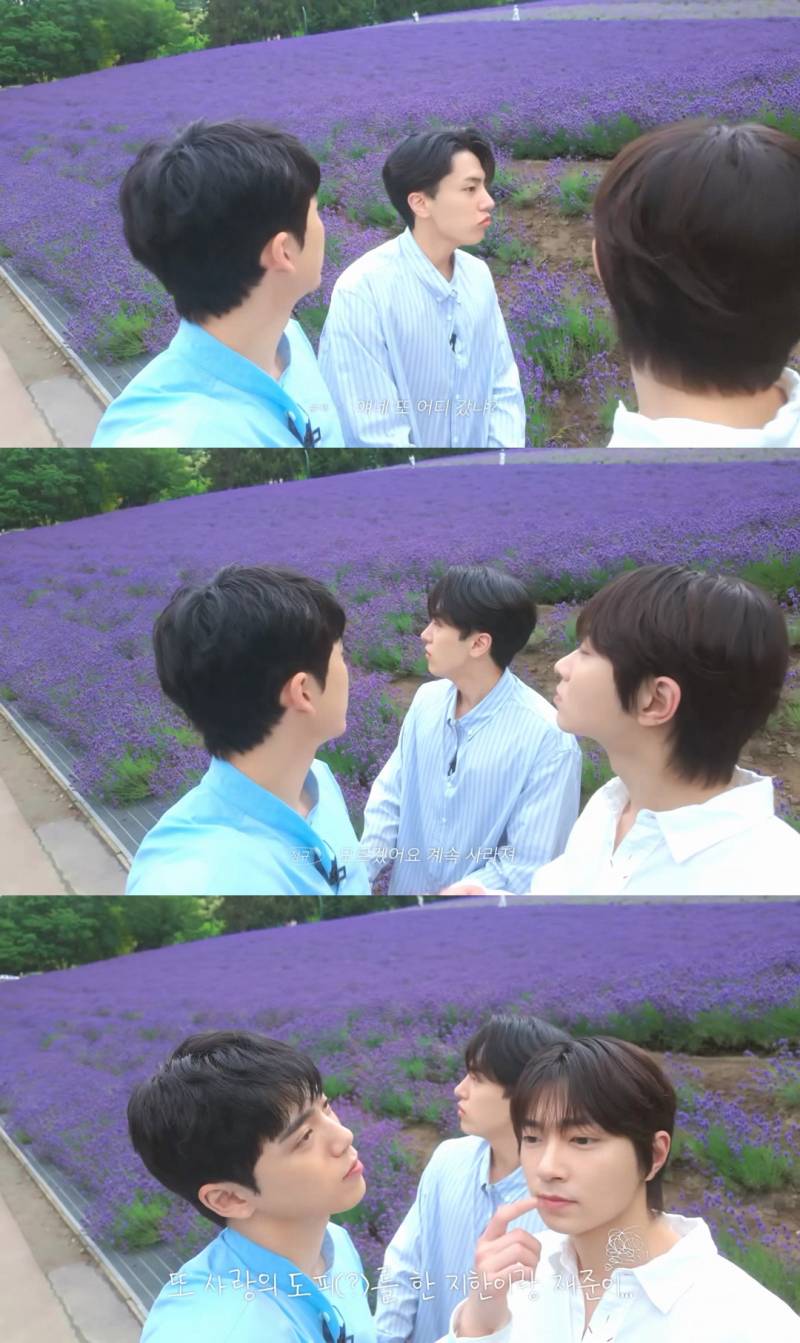 커플 여행에 솔로가 끼면 위험한 이유 [BL드라마주의] | 인스티즈