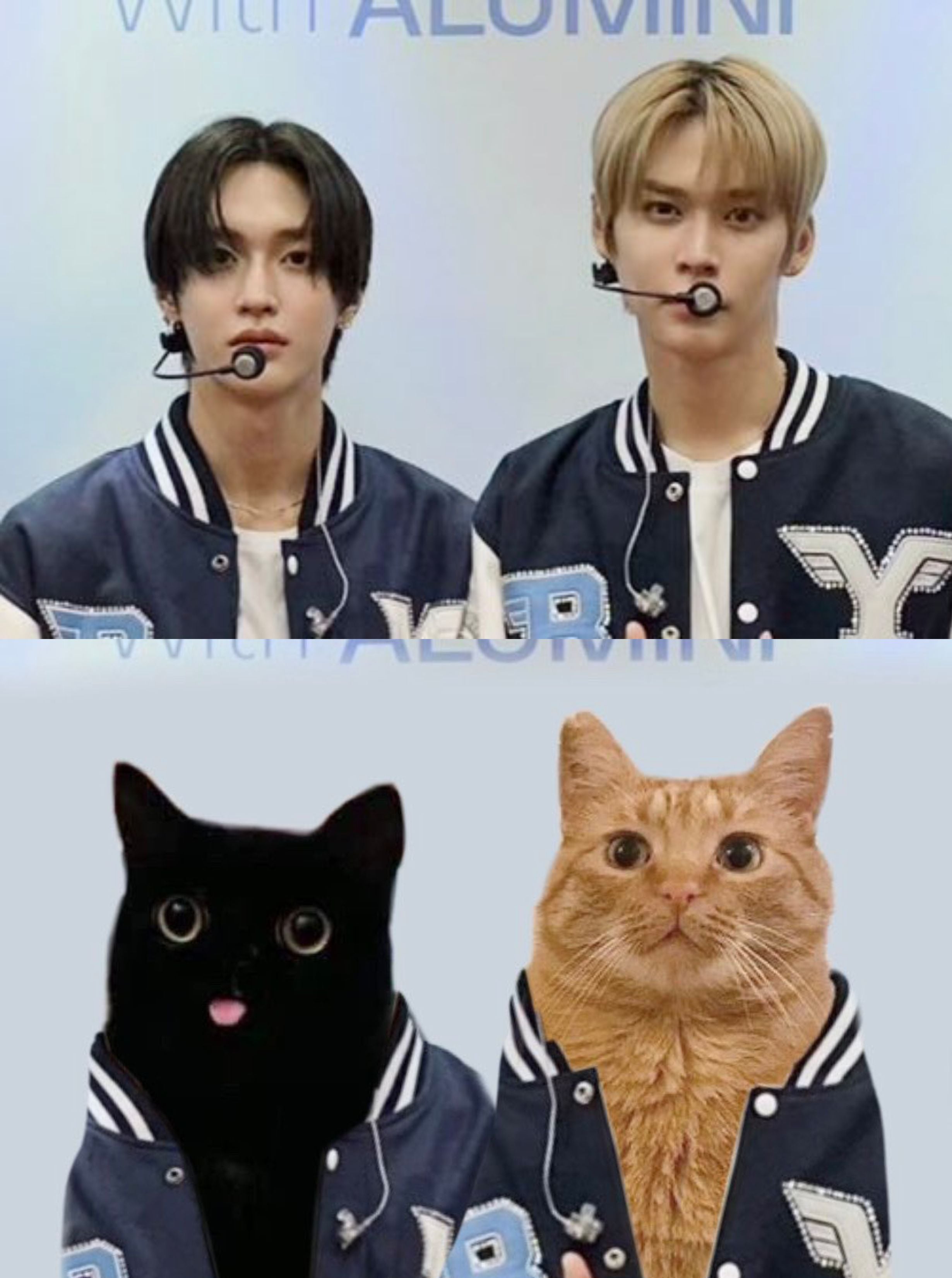 [잡담] 은석 원빈 진짜 고양이 형제 맞음 | 인스티즈