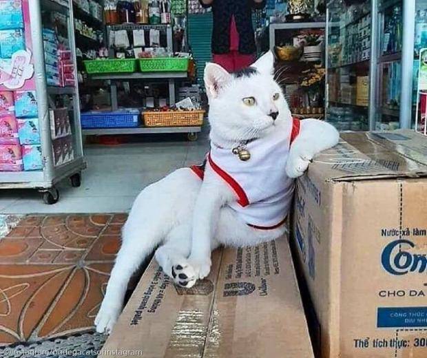 [잡담] 재경이 우는건 절대 상상안가ㅋㅋㅋㅋㅋㅋ | 인스티즈