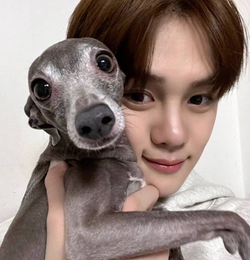 진심으로 실현 가능할지걱정 되는 어느 남돌의 1위 공약 | 인스티즈