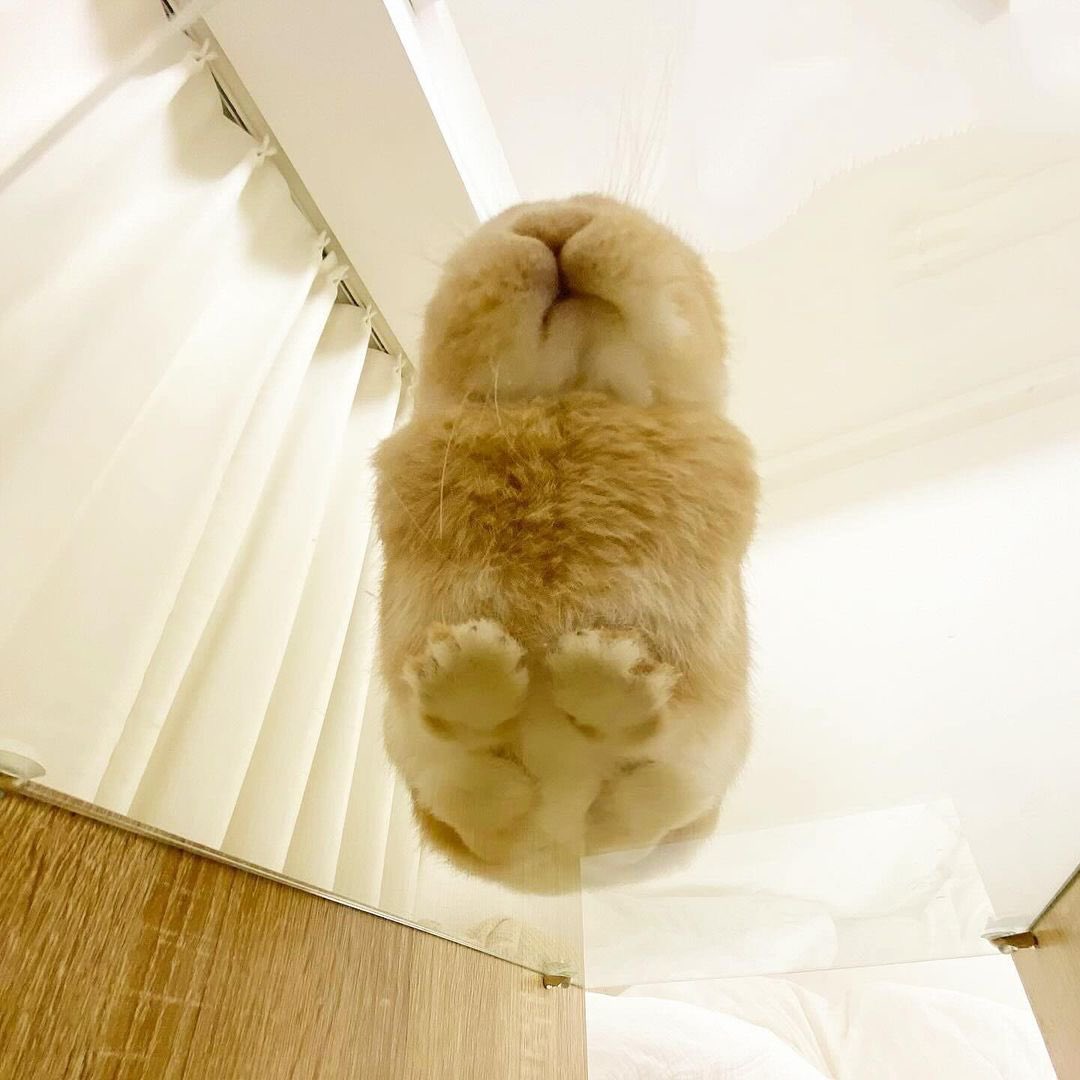 [잡담] 도영이 | 인스티즈