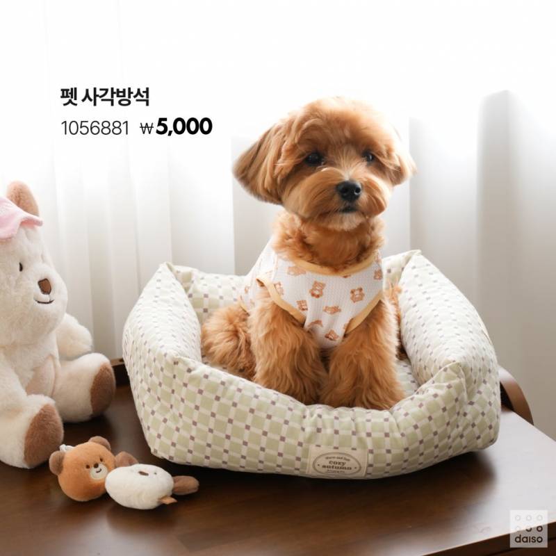 🧸2024 다이소 코지어텀 시리즈🧸 | 인스티즈