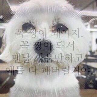 [잡담] 미대졸업하고ㅠ강사일도했던 사람이<<<<❓❓👀👀 | 인스티즈