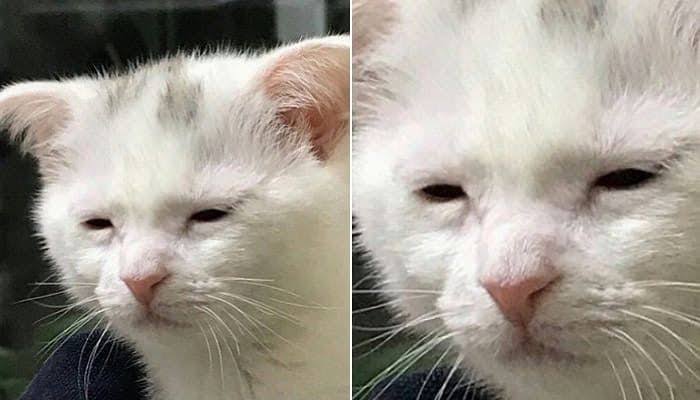 [잡담] 오버하는게 아니라 원빈이 덕질 시작하고 | 인스티즈