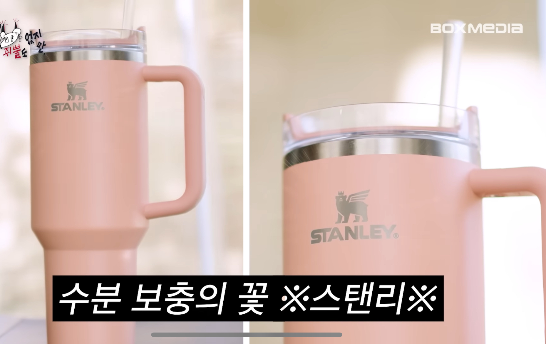 [잡담] 스탠리 이거 무슨색이야? | 인스티즈