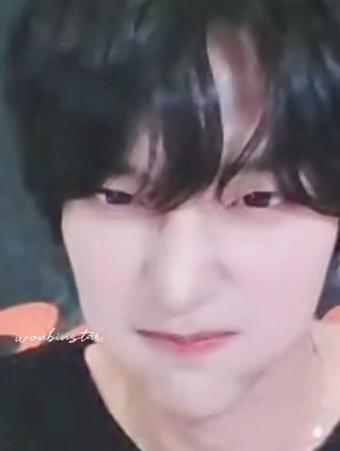 [잡담] 원빈이 애기복어 | 인스티즈