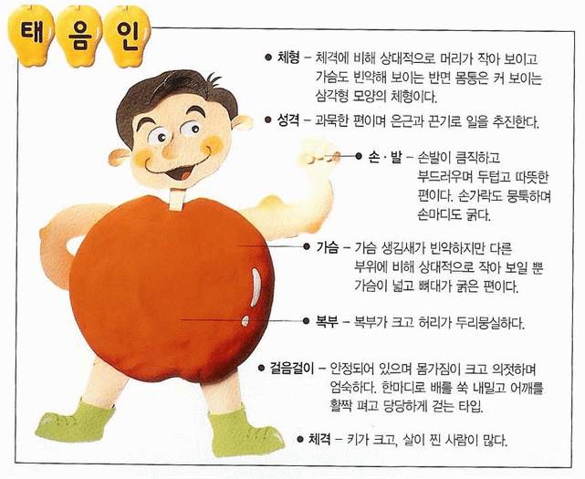 [잡담] 태양인, 태음인, 소양인, 소음인 모르면 들어와바! 쉽게 알려줄게 | 인스티즈
