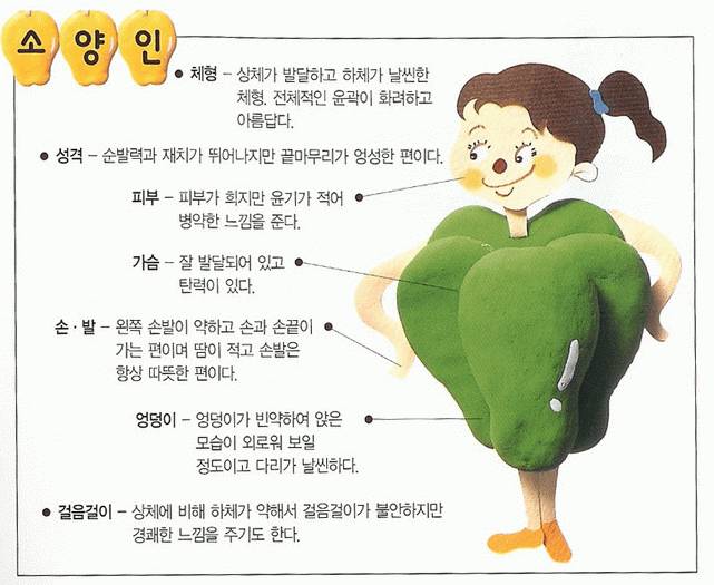 [잡담] 태양인, 태음인, 소양인, 소음인 모르면 들어와바! 쉽게 알려줄게 | 인스티즈