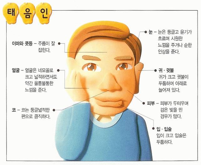 [잡담] 태양인, 태음인, 소양인, 소음인 모르면 들어와바! 쉽게 알려줄게 | 인스티즈