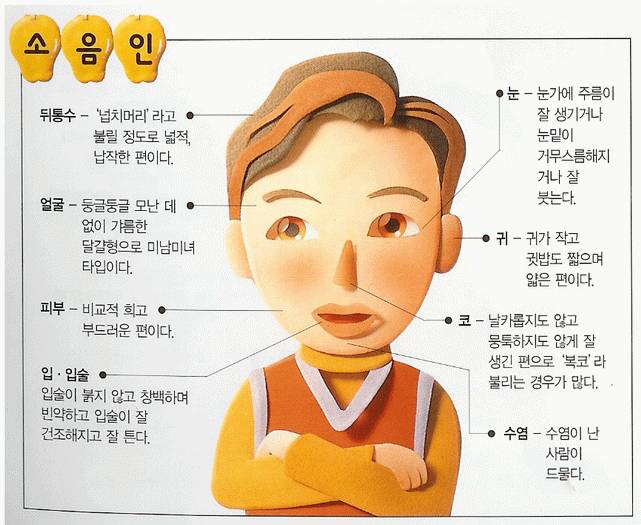 [잡담] 태양인, 태음인, 소양인, 소음인 모르면 들어와바! 쉽게 알려줄게 | 인스티즈