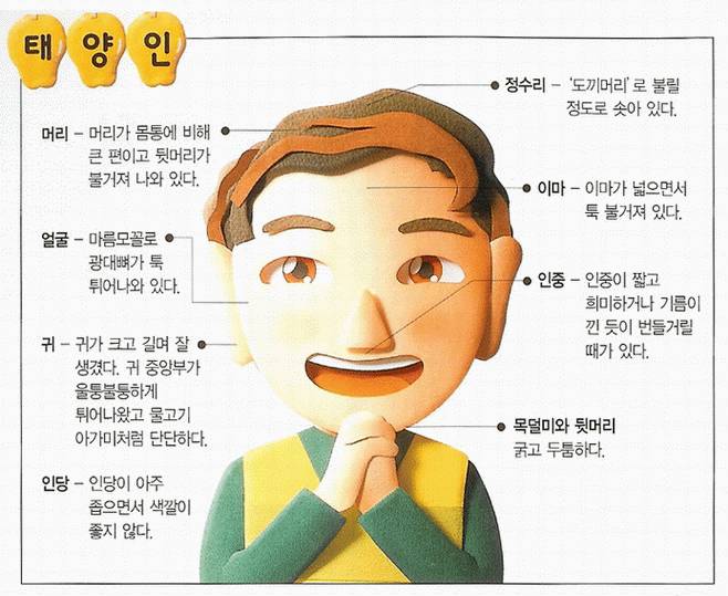 [잡담] 태양인, 태음인, 소양인, 소음인 모르면 들어와바! 쉽게 알려줄게 | 인스티즈