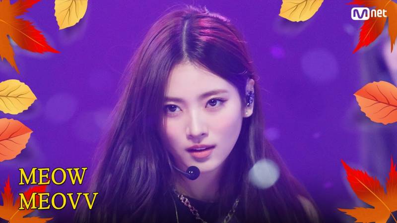 올라오는 직캠 썸네일마다 레전드 찍는 미야오 안나 | 인스티즈