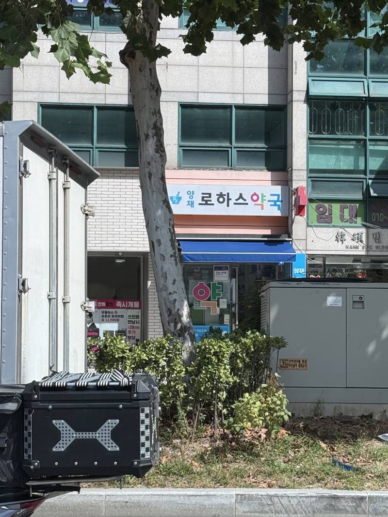 [잡담] 오늘 로하스가 한건 해줄거 같아 | 인스티즈