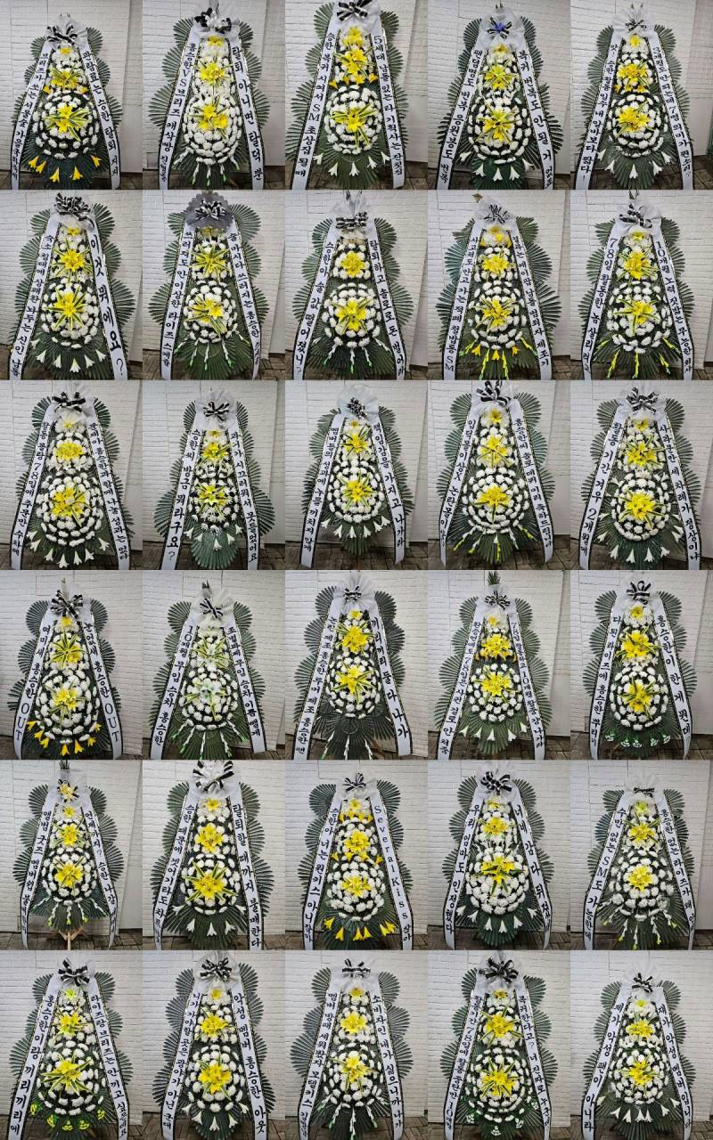 너무 무섭다는 성수동 국화축제 문구.JPG | 인스티즈