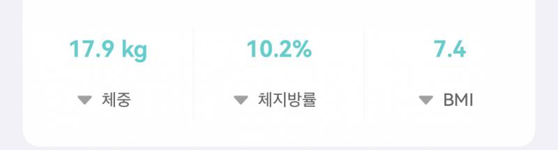 [잡담] 드디어 다이어트 성공했다…🥹 | 인스티즈