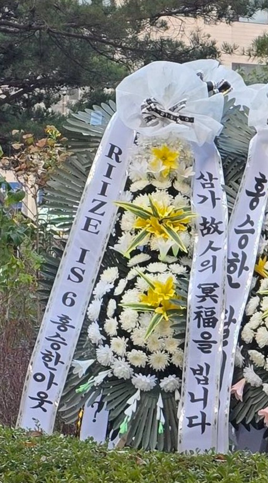 [정보/소식] 승한한테 <삼가 고인의 명복을 빕니다> 보낸 라이즈 팬덤 | 인스티즈