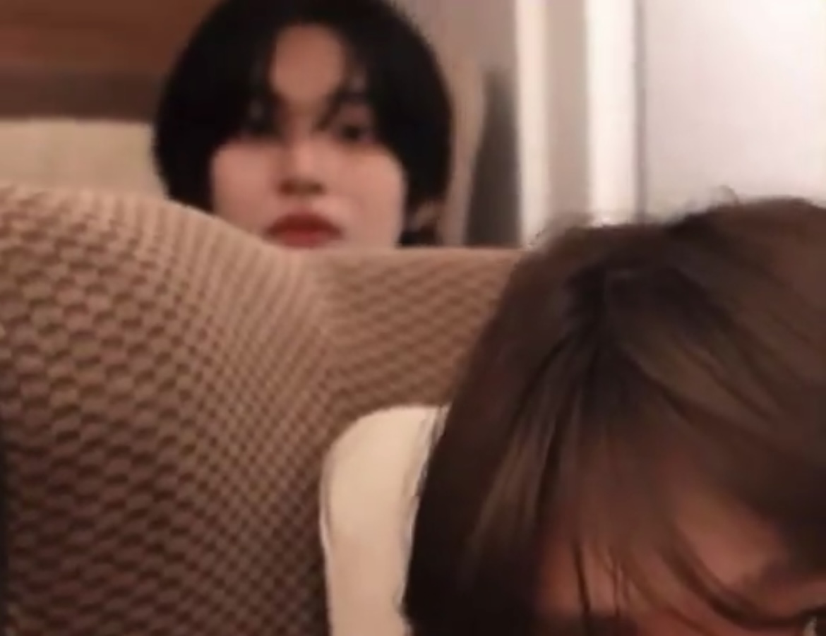 [잡담] 원빈이 왠지 신경 쓰이는 고양이 | 인스티즈