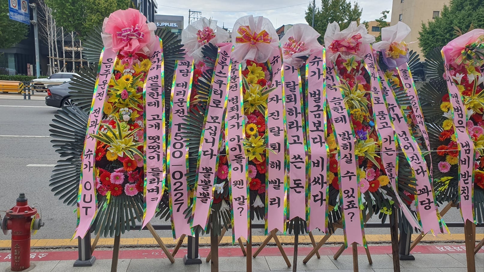 [정보/소식] 슈가 탈퇴 용산 꽃축제 2일차 | 인스티즈