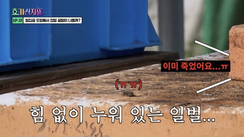??? : 과로사 하셨습니다...............jpg | 인스티즈