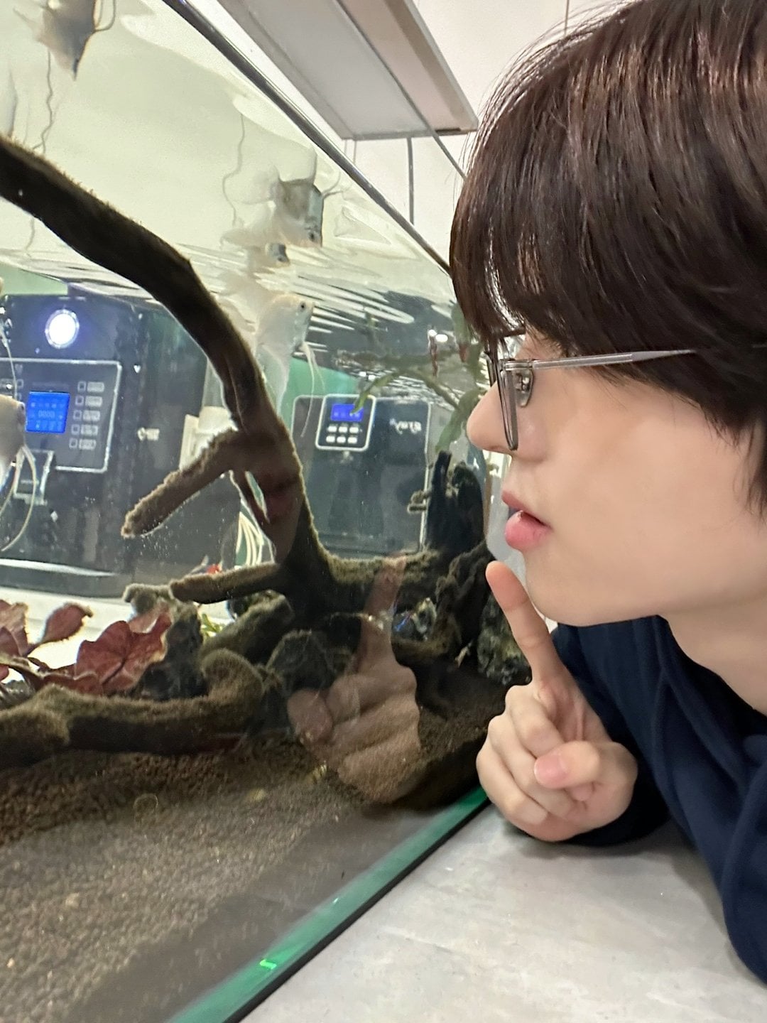 콧대 높다는 건 이런거임.jpg | 인스티즈
