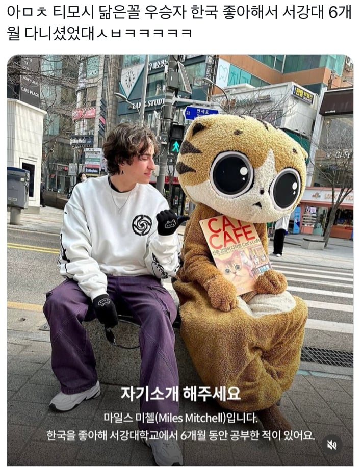 [잡담] 티모시 닮은꼴 우승자 서강대 출신이네ㅋㅋㅋ | 인스티즈