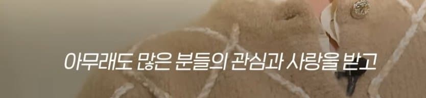 [정리글] 지디 말투가 느려진 이유 | 인스티즈