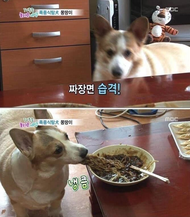 [잡담] 앤톤 소희 사심 채워주는 거 갸웃김 ㅋㅋㅋㅋㅋㅋㅋㅋㅋㅋㅋㅋㅋㅋ | 인스티즈