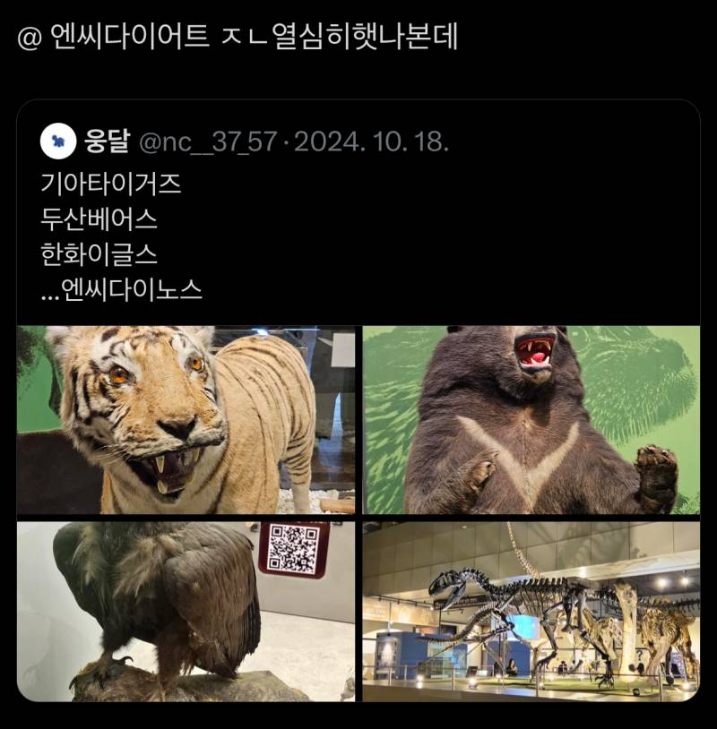 [잡담] 뼈말라 다이노스 | 인스티즈
