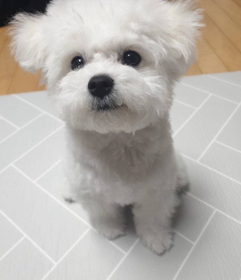 [잡담] 이거 보면 기분 좋아집니다 | 인스티즈