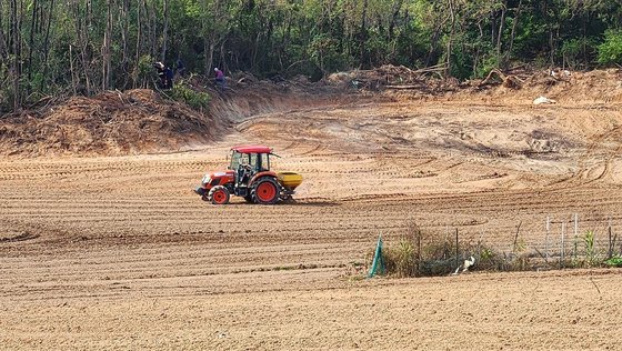 '대전 핫플' 성심당 또 일낸다…7000평 밀밭 만드는 까닭 | 인스티즈