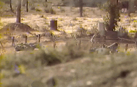 80년대 훈련소 각개전투 클라쓰.gif | 인스티즈