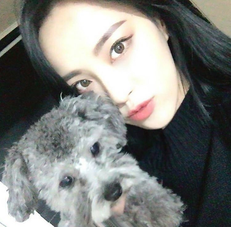 [잡담] 스우파로 댄서들 많이 알려졌지만 제일 처음 | 인스티즈