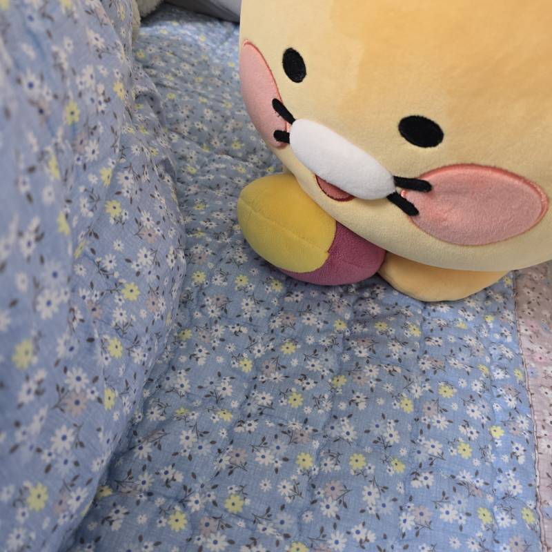 [잡담] 엄마랑 이불싸움에서 짐... | 인스티즈