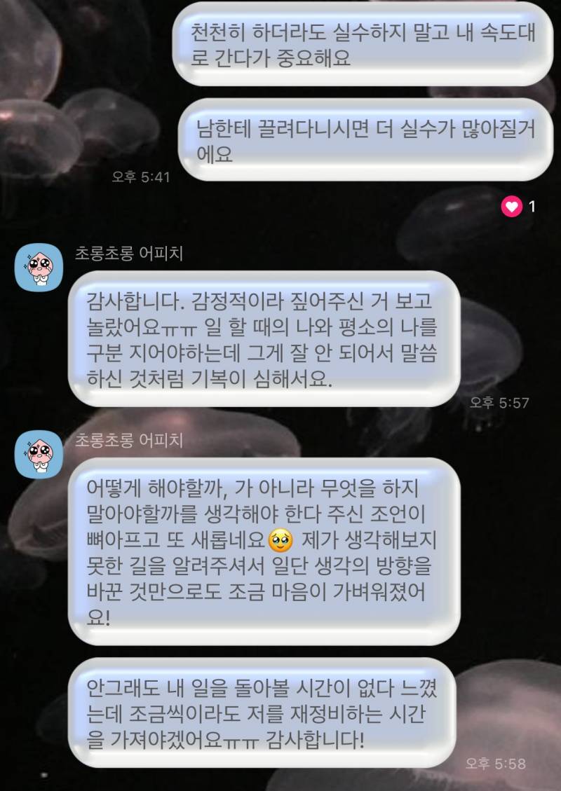 자격증 보유 고퀄 전문가 타로/연애/재회/짝사랑/속마음/팬타로 전문❤️/타로블루/후기 多 | 인스티즈