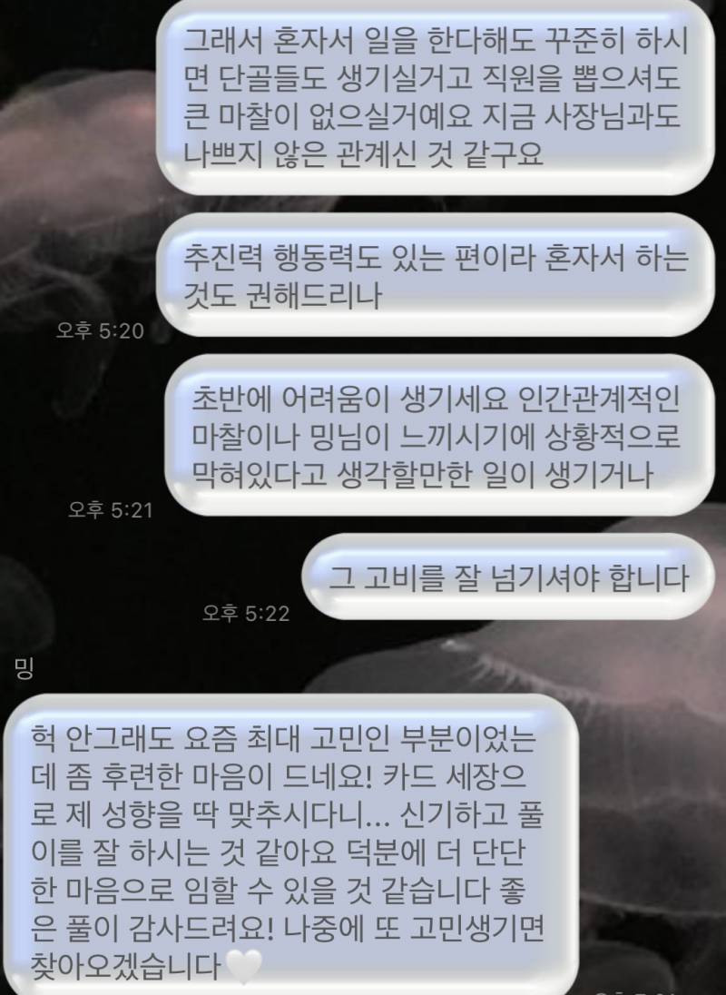 자격증 보유 고퀄 전문가 타로/연애/재회/짝사랑/속마음/팬타로 전문❤️/타로블루/후기 多 | 인스티즈