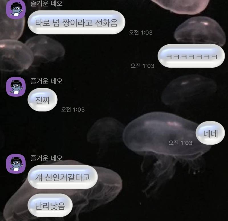 자격증 보유 고퀄 전문가 타로/연애/재회/짝사랑/속마음/팬타로 전문❤️/타로블루/후기 多 | 인스티즈