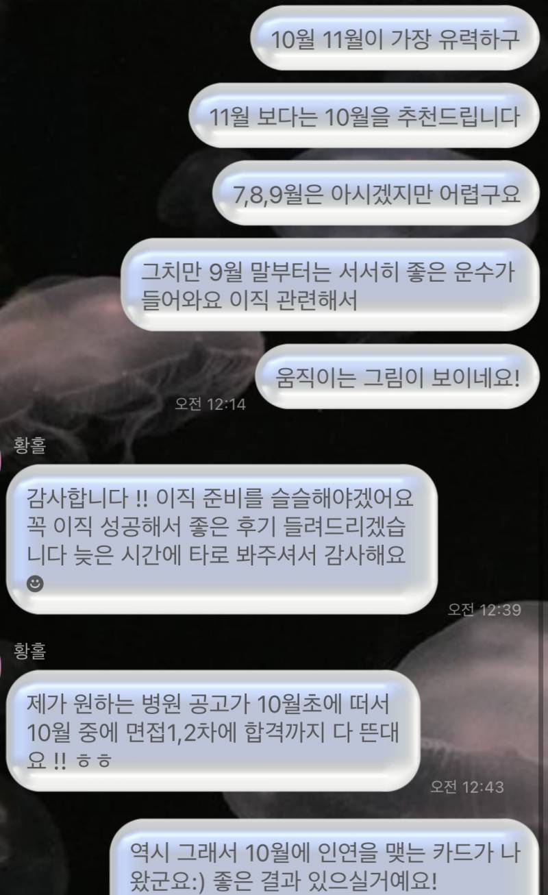 자격증 보유 고퀄 전문가 타로/연애/재회/짝사랑/속마음/팬타로 전문❤️/타로블루/후기 多 | 인스티즈